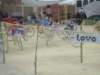 dsc00165_small.jpg