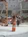 dsc00209_small.jpg
