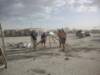 dsc00236_small.jpg