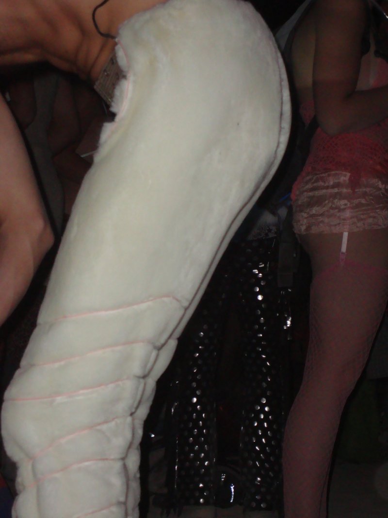 dsc00364.jpg