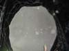 dsc00411_small.jpg