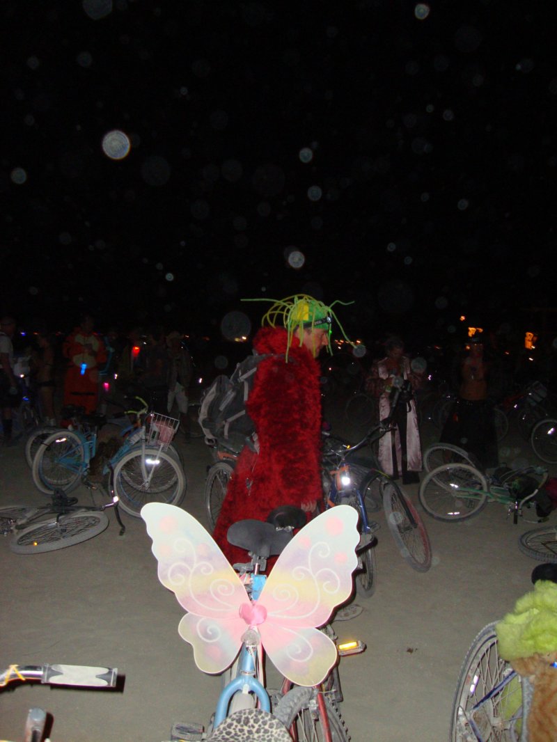 dsc00421.jpg