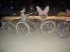 dsc00424_small.jpg