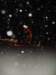 dsc00425_small.jpg