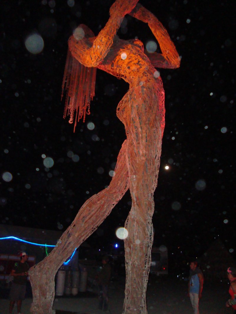 dsc00503.jpg