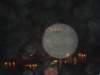 dsc00538_small.jpg