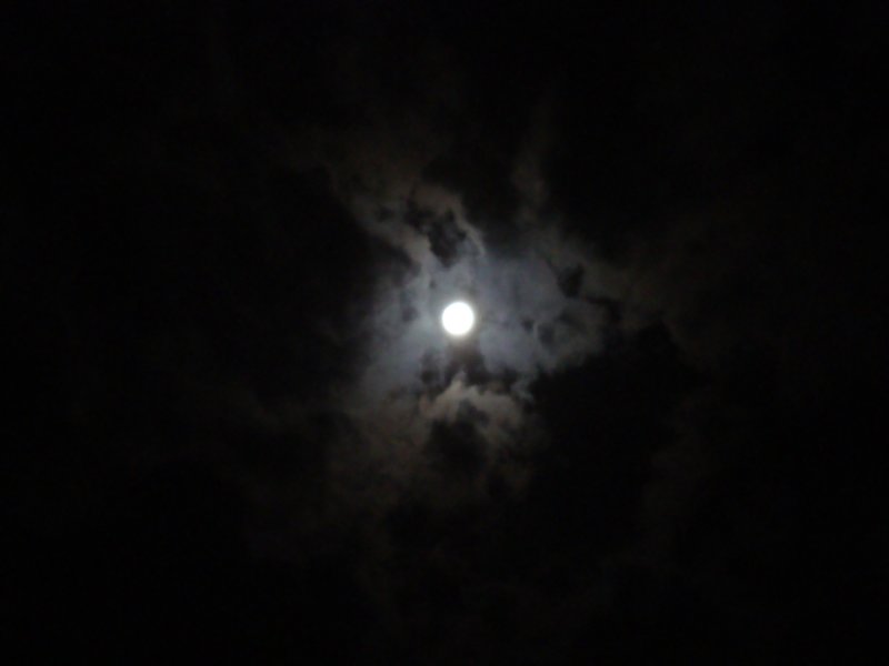 dsc00545.jpg