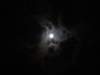 dsc00545_small.jpg